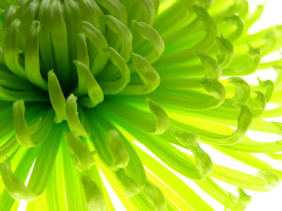 What is Chiropractic - Infinity Chiropractic and Health Centre