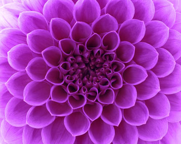 Our Vision - Infinity Chiropractic and Health Centre